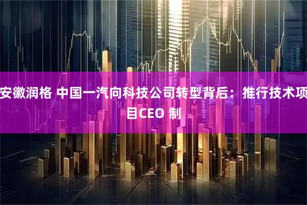 安徽润格 中国一汽向科技公司转型背后：推行技术项目CEO 制